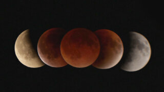 (3月3日)「皆既月食を見よう!」観望会のお知らせ